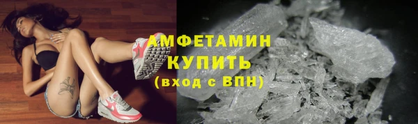 прущие грибы Алексин