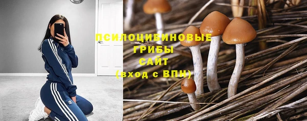 синтетический гашиш Абдулино
